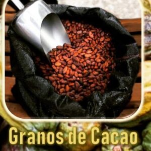 Grano de cacao