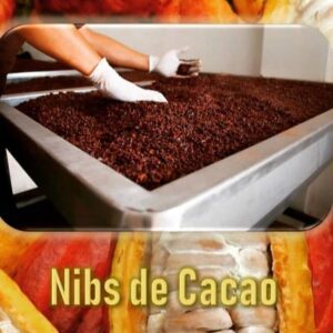 NIBS de cacao